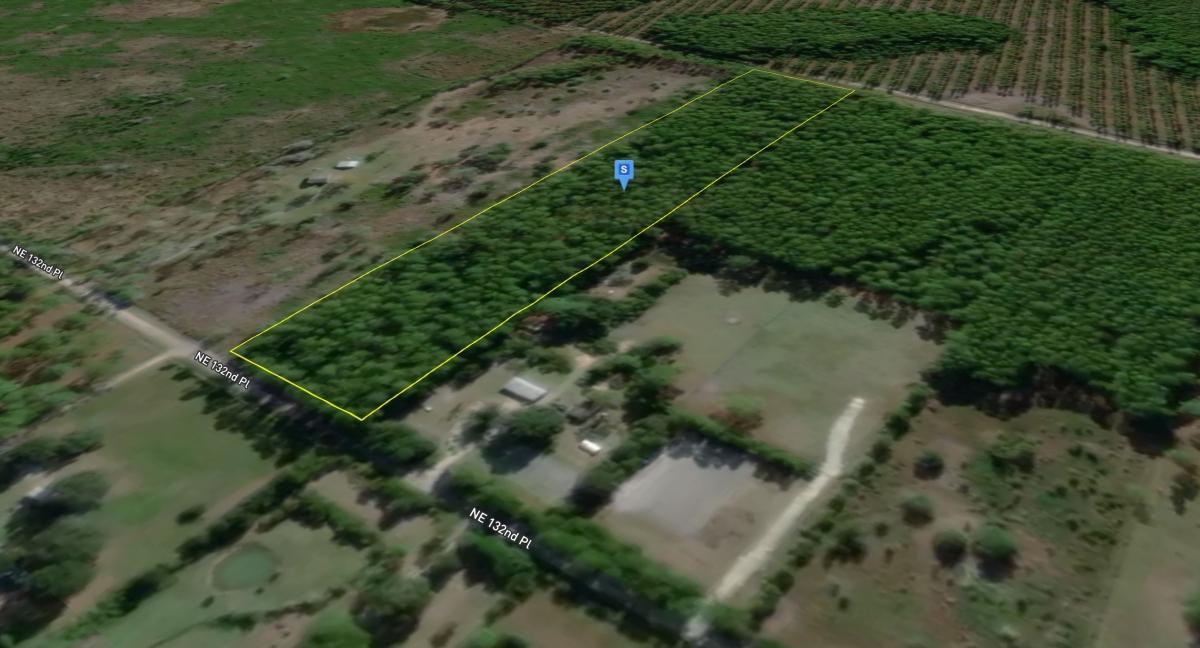 6.6 Acres for Sale in Citra, FL