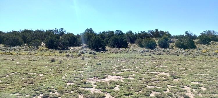 1.05 Acres for Sale in Saint Johns, Arizona