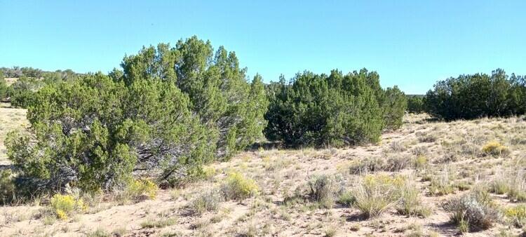 1.05 Acres for Sale in Saint Johns, Arizona