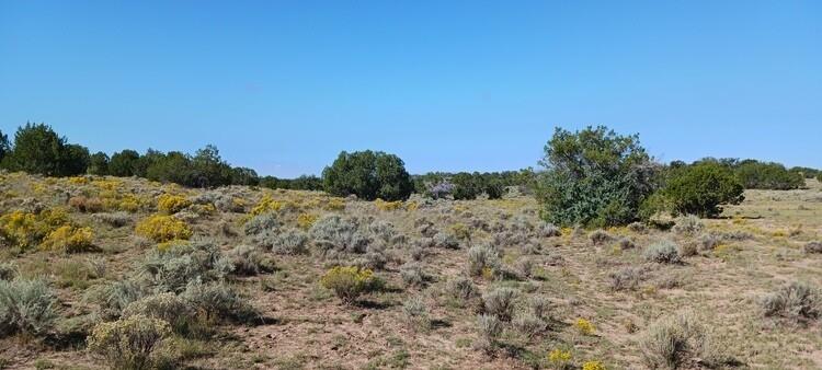 1.05 Acres for Sale in Saint Johns, Arizona