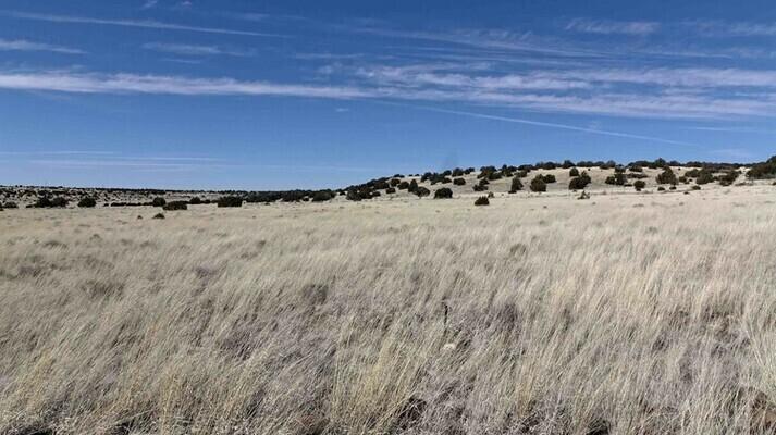 1.07 Acres for Sale in Concho, Arizona