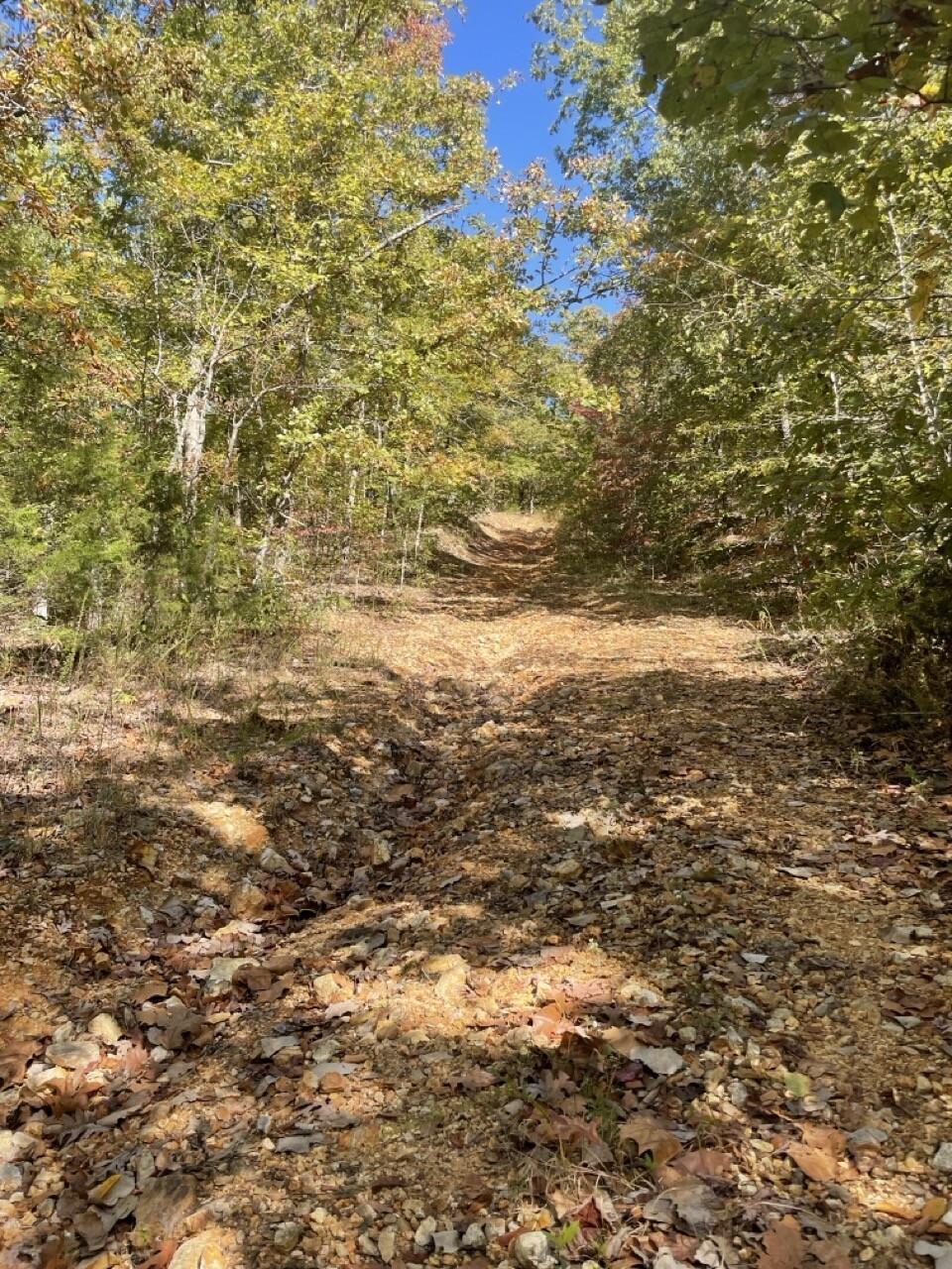 0.37 Acres for Sale in Williford, Arkansas
