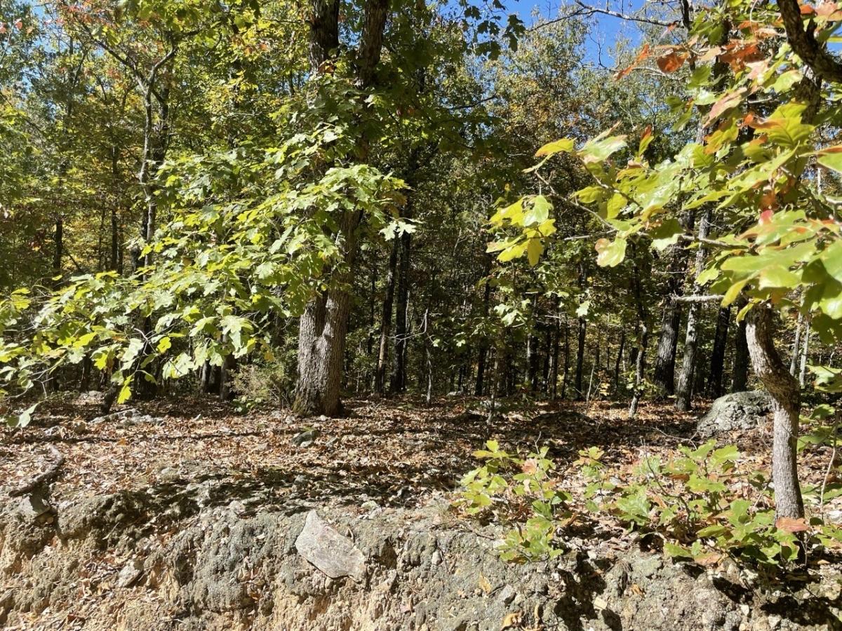 0.37 Acres for Sale in Williford, Arkansas