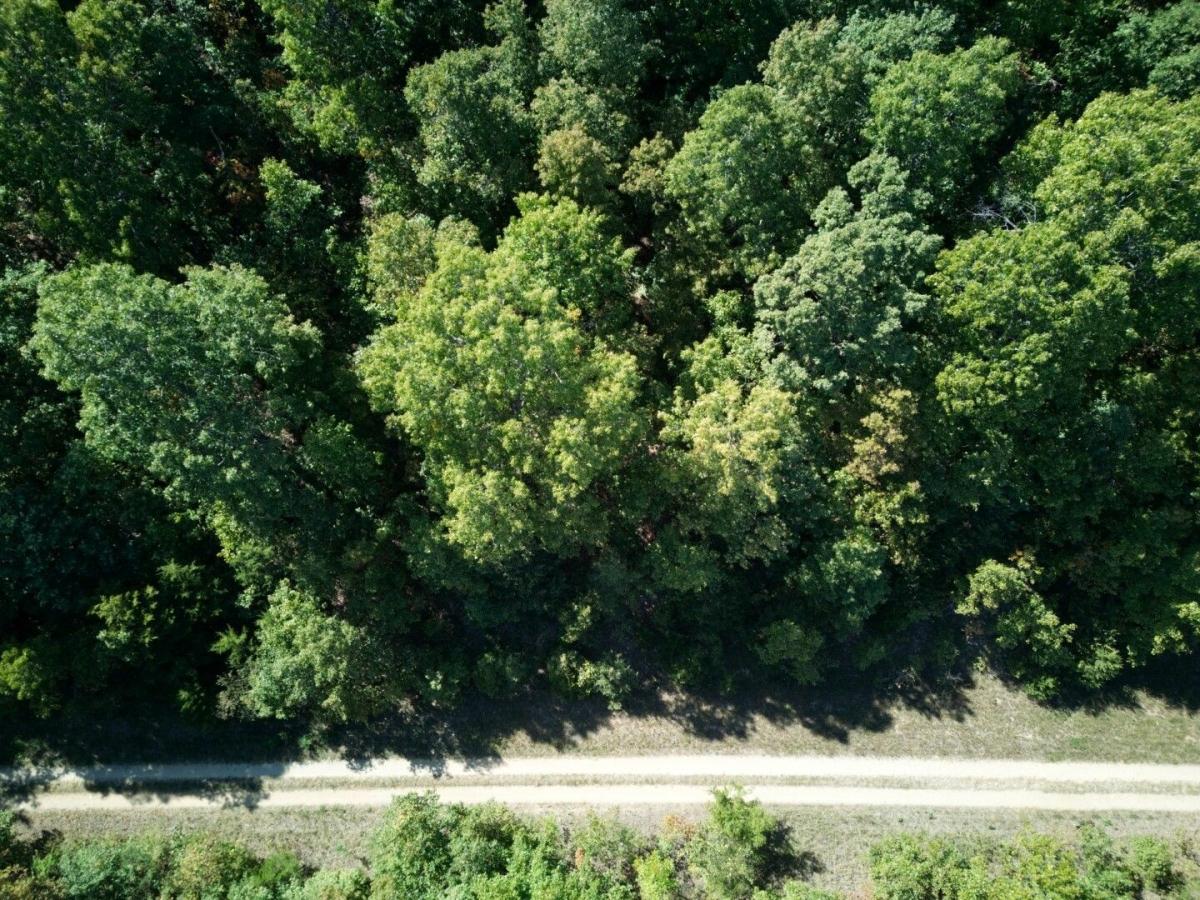 0.49 Acres for Sale in Horseshoe Bend, Arkansas