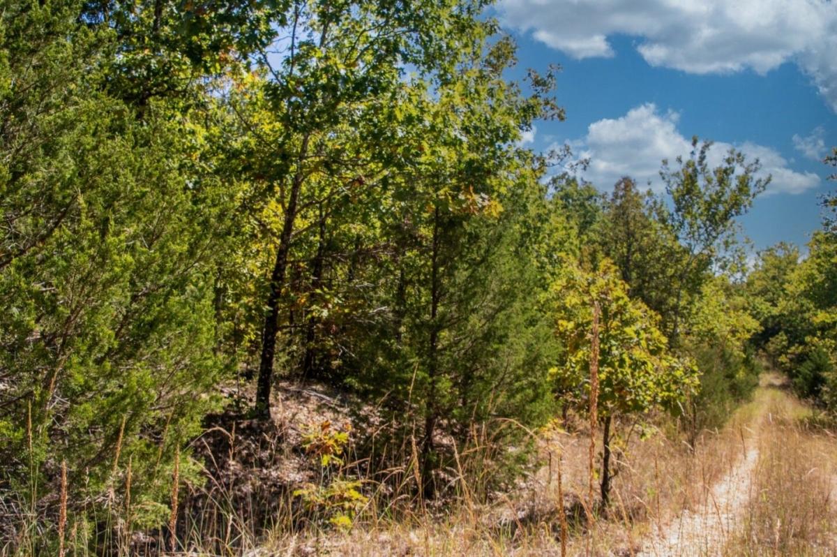 0.49 Acres for Sale in Horseshoe Bend, Arkansas
