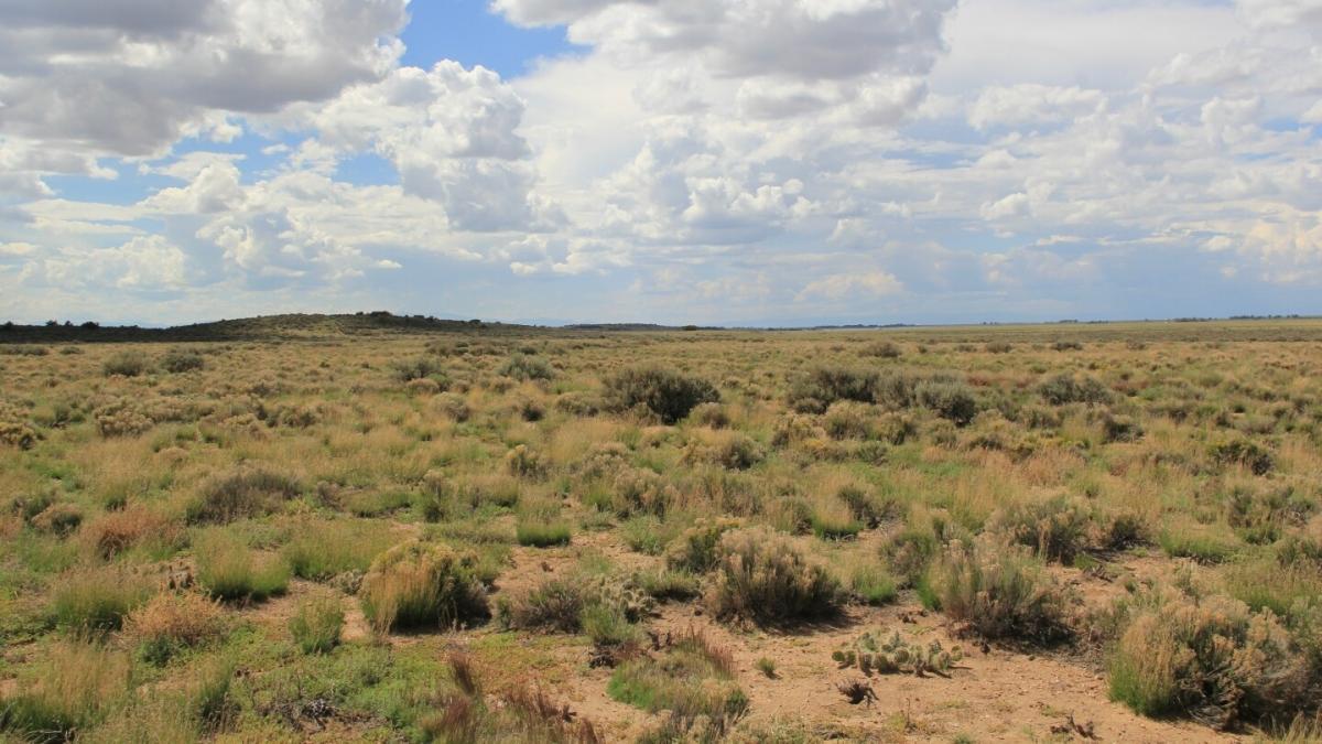 5 Acres for Sale in Blanca, CO