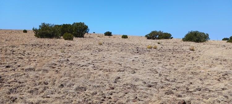 1.04 Acres for Sale in Concho, Arizona