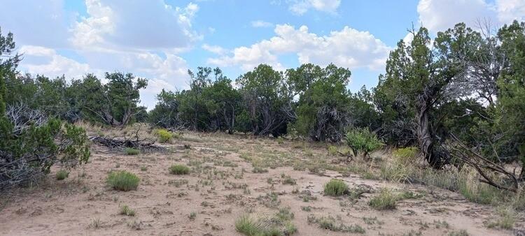 5 Acres for Sale in Saint Johns, Arizona
