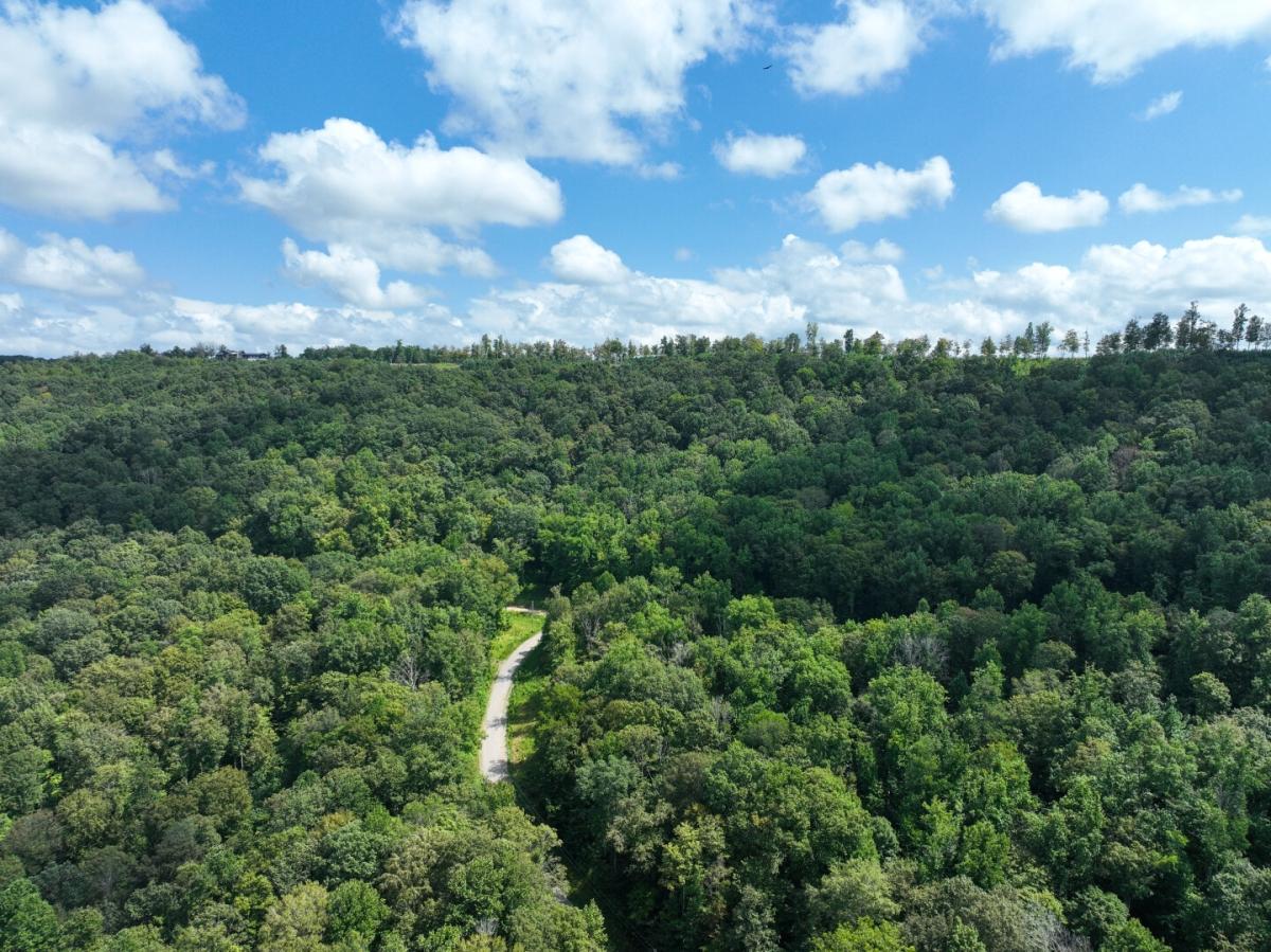 26.29 Acres for Sale in Jamestown, TN