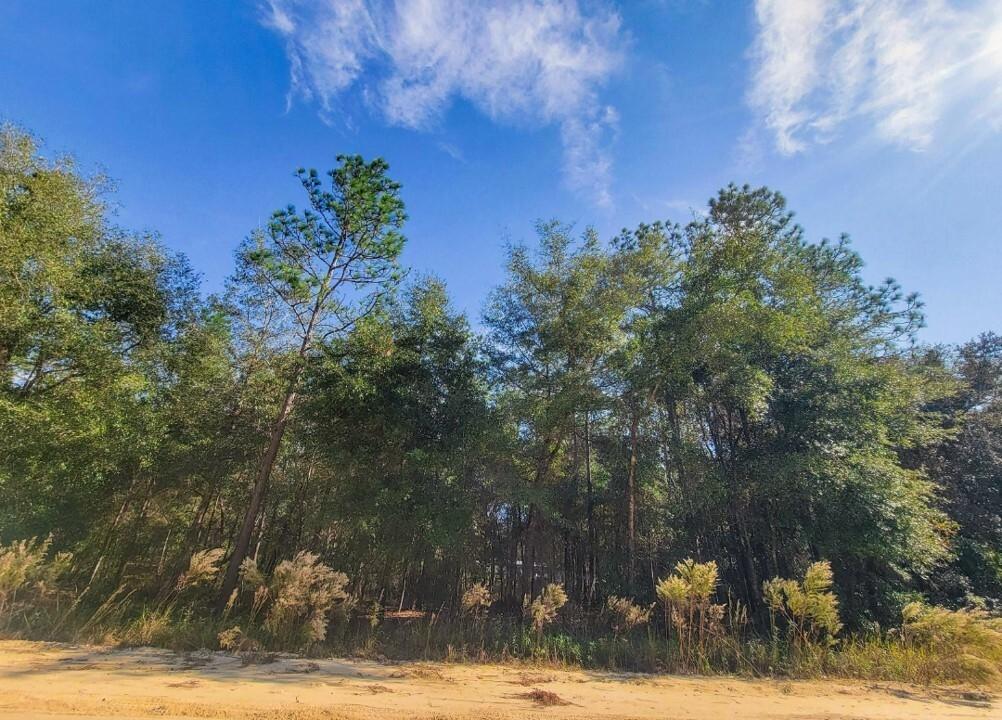 0.25 Acres for Sale in Interlachen, Florida