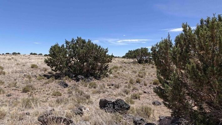 1 Acres for Sale in Concho, Arizona