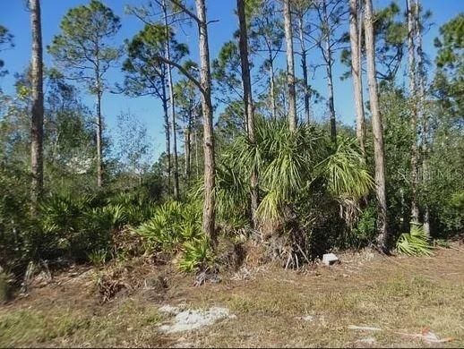 0.22 Acres for Sale in Punta Gorda, FL