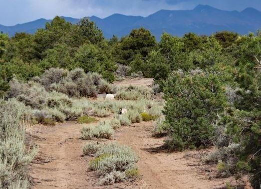 5 Acres for Sale in San Luis, Colorado