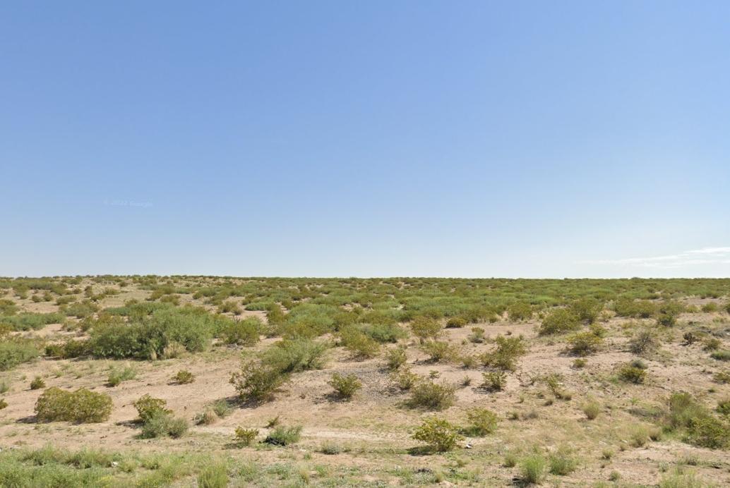 20 Acres for Sale in Fort Hancock, TX