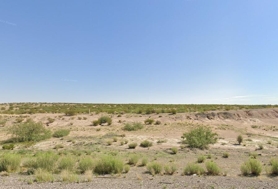 20 Acres for Sale in Fort Hancock, TX