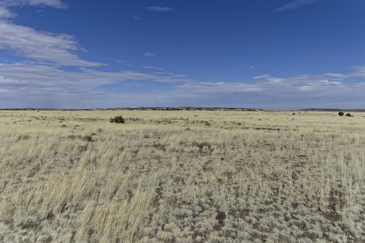 1.01 Acres for Sale in Vernon, Arizona