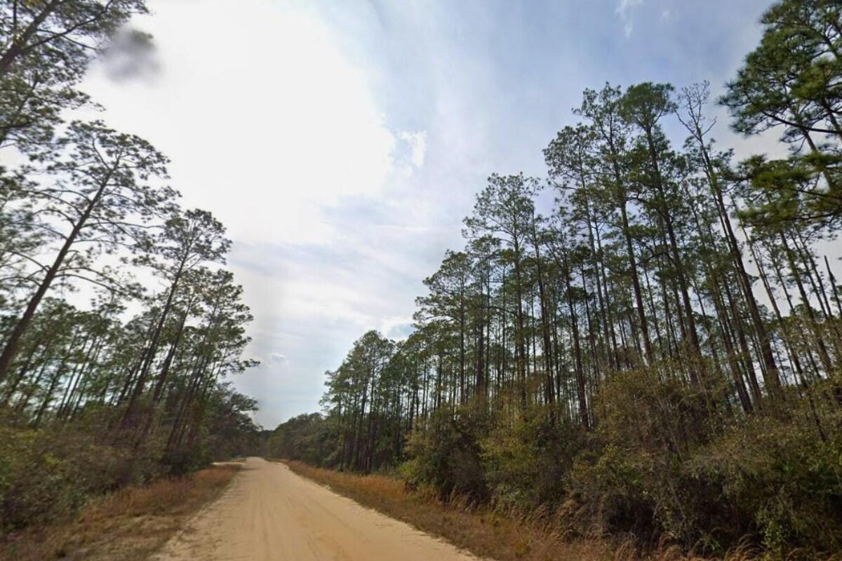 0.23 Acres for Sale in Interlachen, Florida