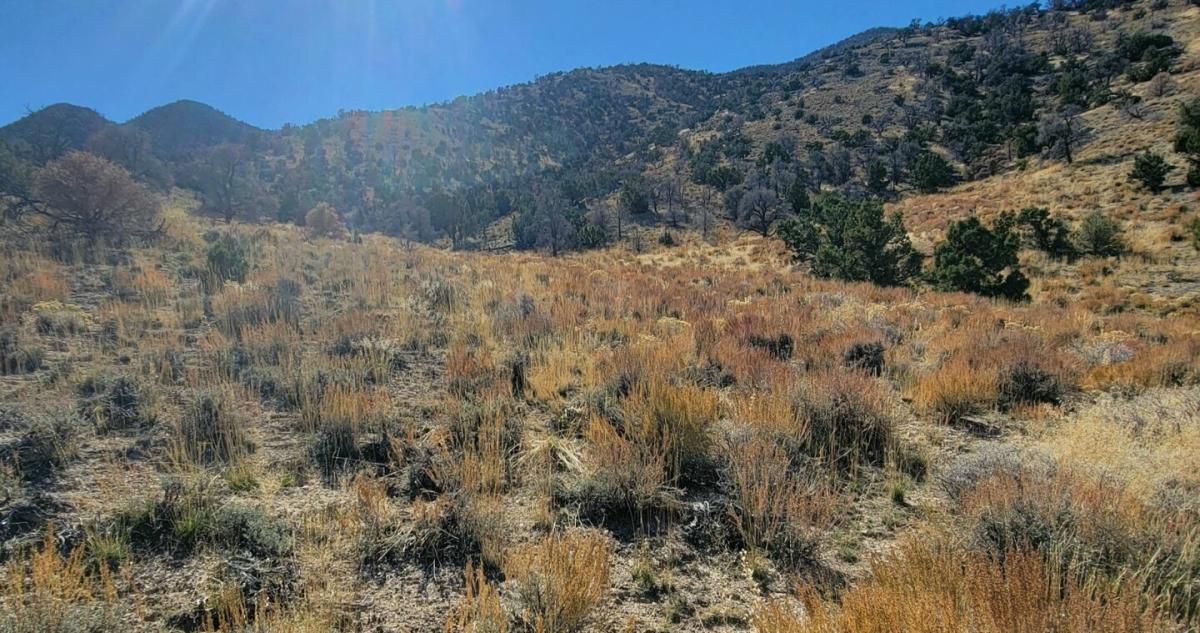 40 Acres for Sale in Montello, NV