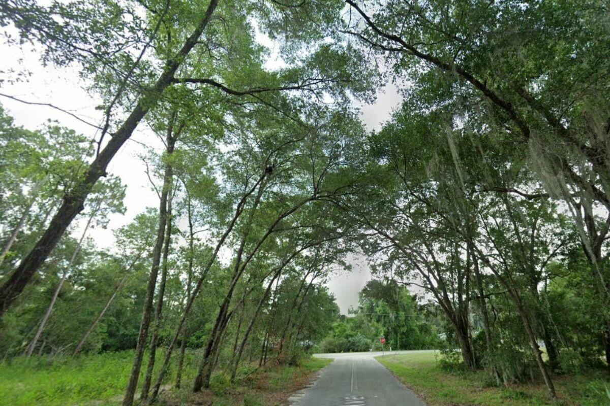 0.36 Acres for Sale in Ocklawaha, Florida