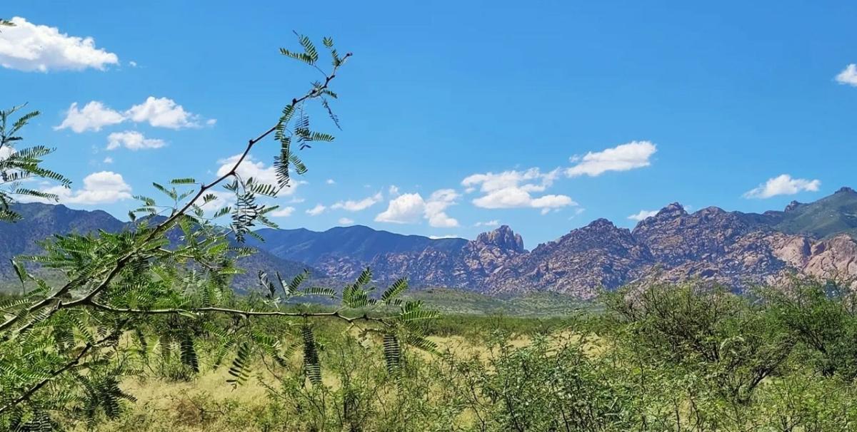 0.23 Acres for Sale in Douglas, Arizona