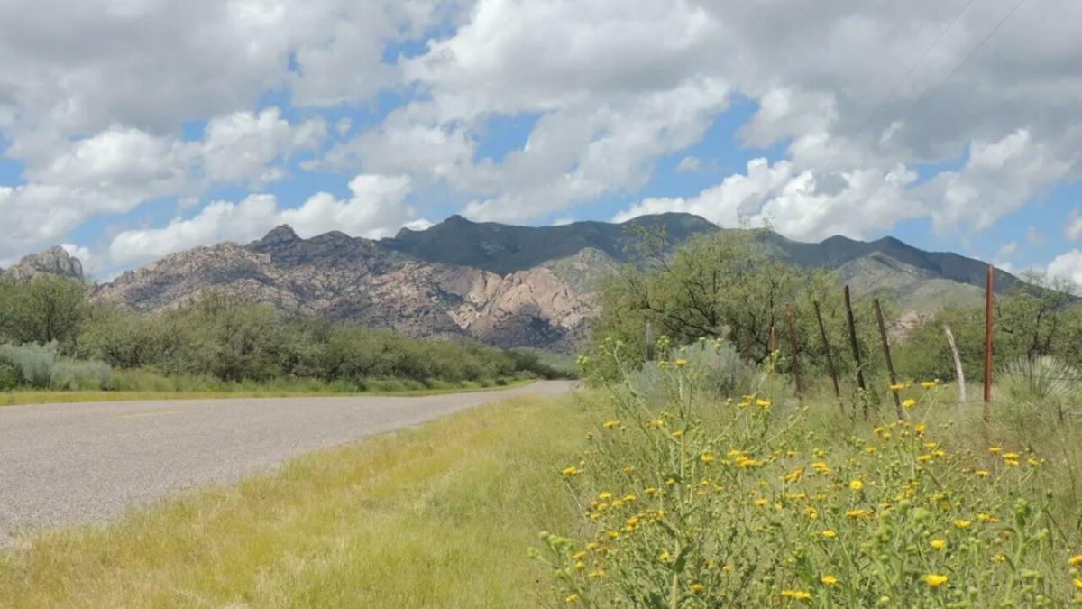 0.23 Acres for Sale in Douglas, Arizona
