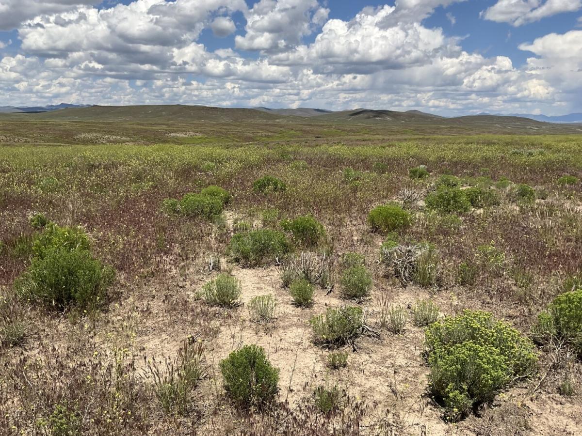 40 Acres for Sale in Elko, Nevada