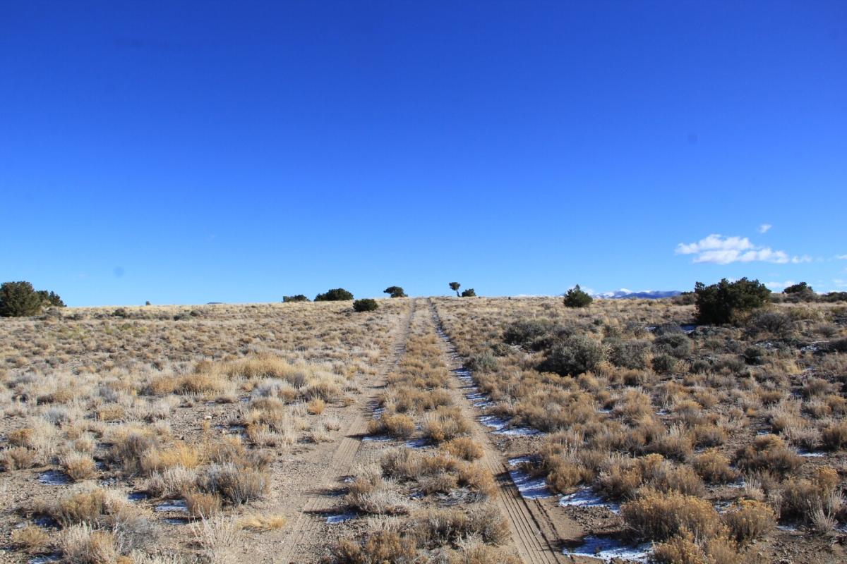 4.95 Acres for Sale in Blanca, Colorado
