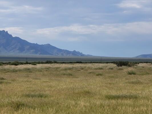 1 Acres for Sale in Deming, New Mexico