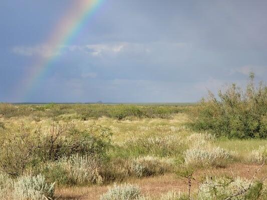 1 Acres for Sale in Deming, New Mexico