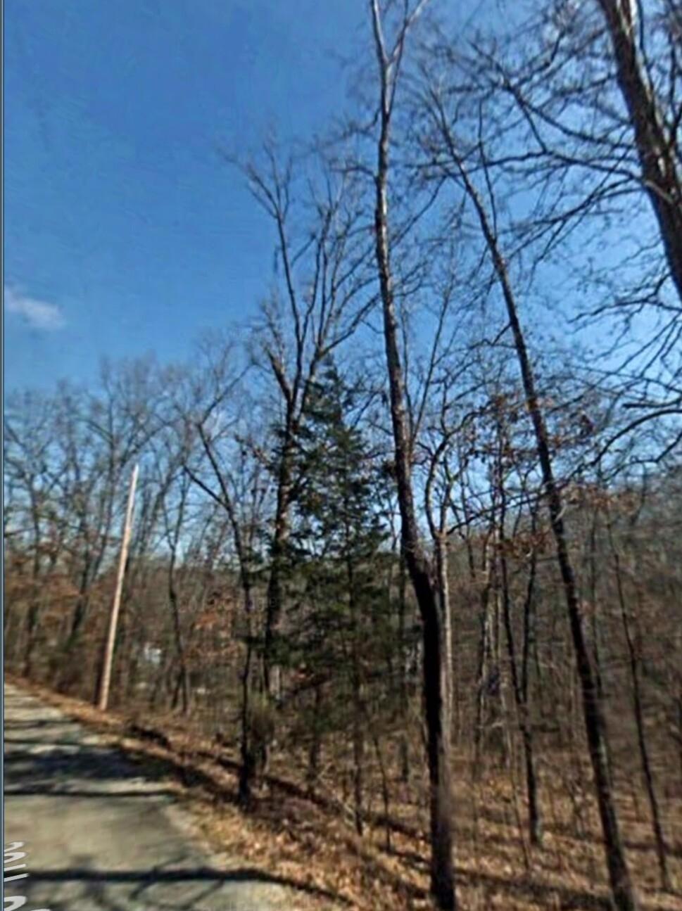 0.33 Acres for Sale in Cherokee Village, Arkansas