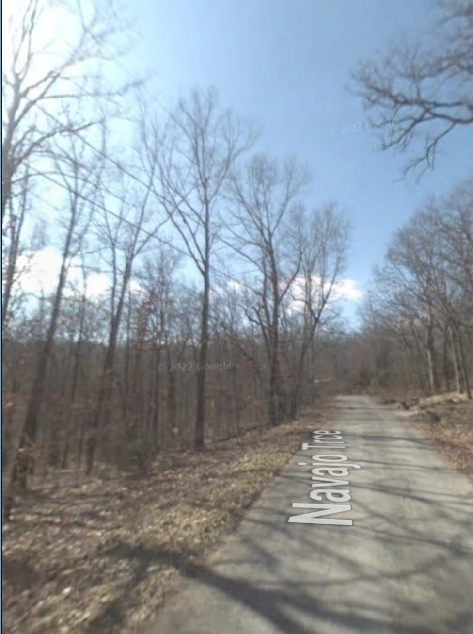 0.33 Acres for Sale in Cherokee Village, Arkansas