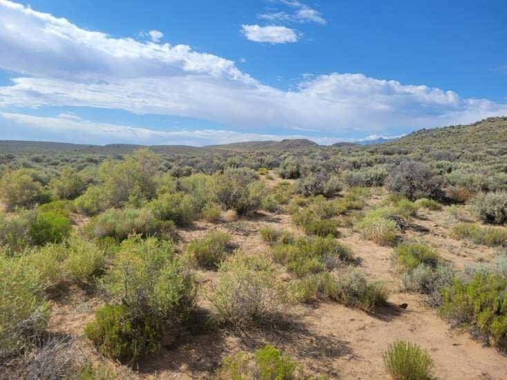 11.5 Acres for Sale in San Luis, Colorado