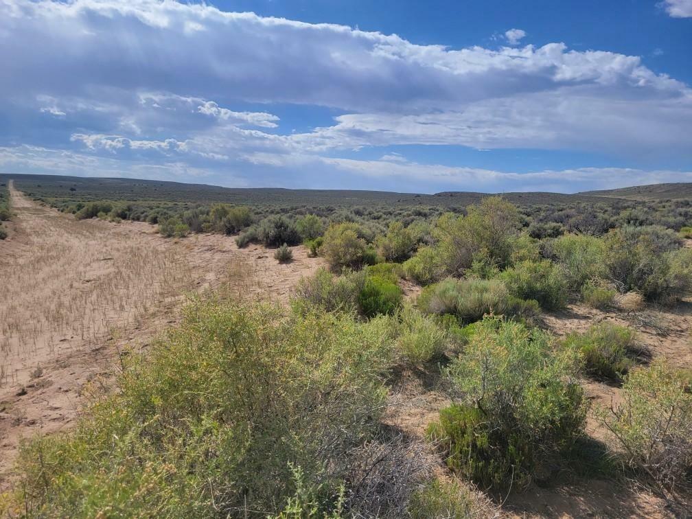11.5 Acres for Sale in San Luis, Colorado