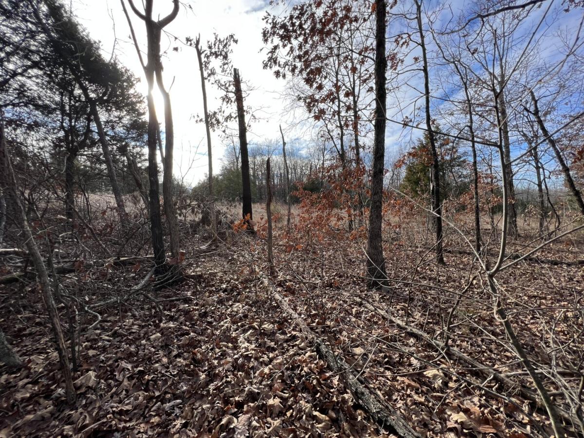 0.29 Acres for Sale in Horseshoe Bend, Arkansas