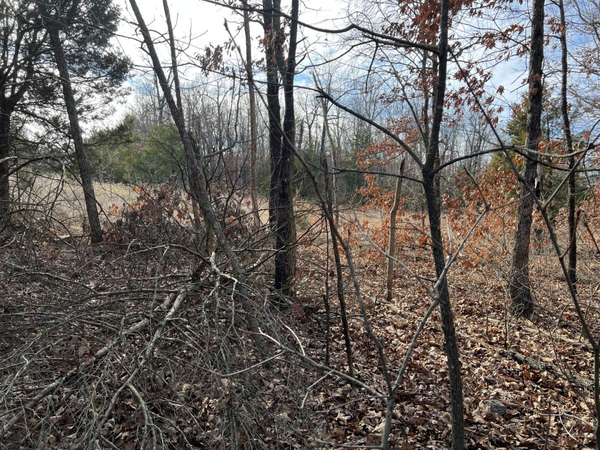 0.29 Acres for Sale in Horseshoe Bend, Arkansas