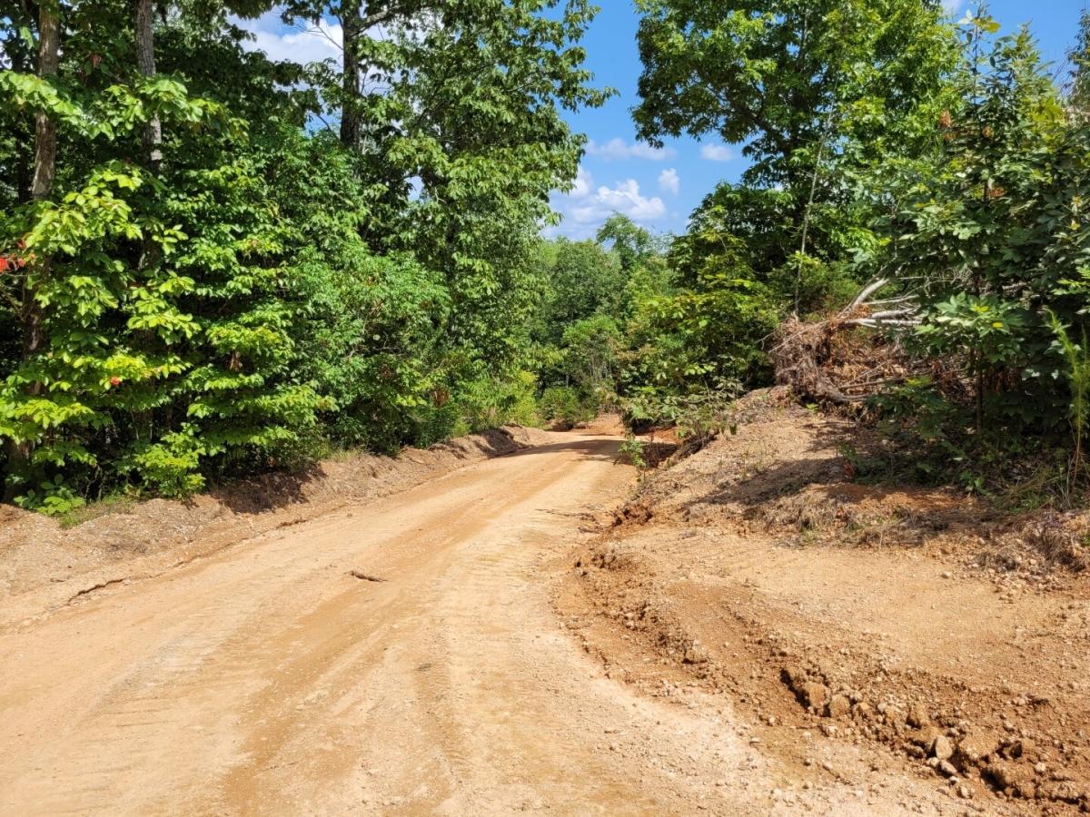 5 Acres for Sale in Linden, TN