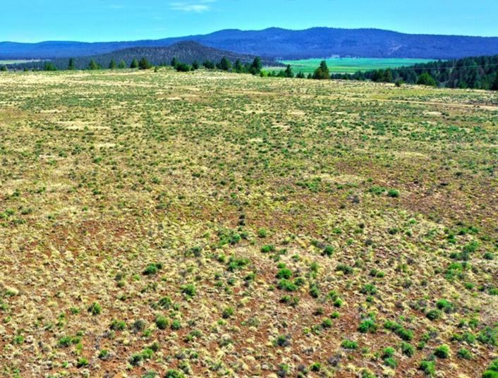 1.36 Acres for Sale in Sprague River, Oregon