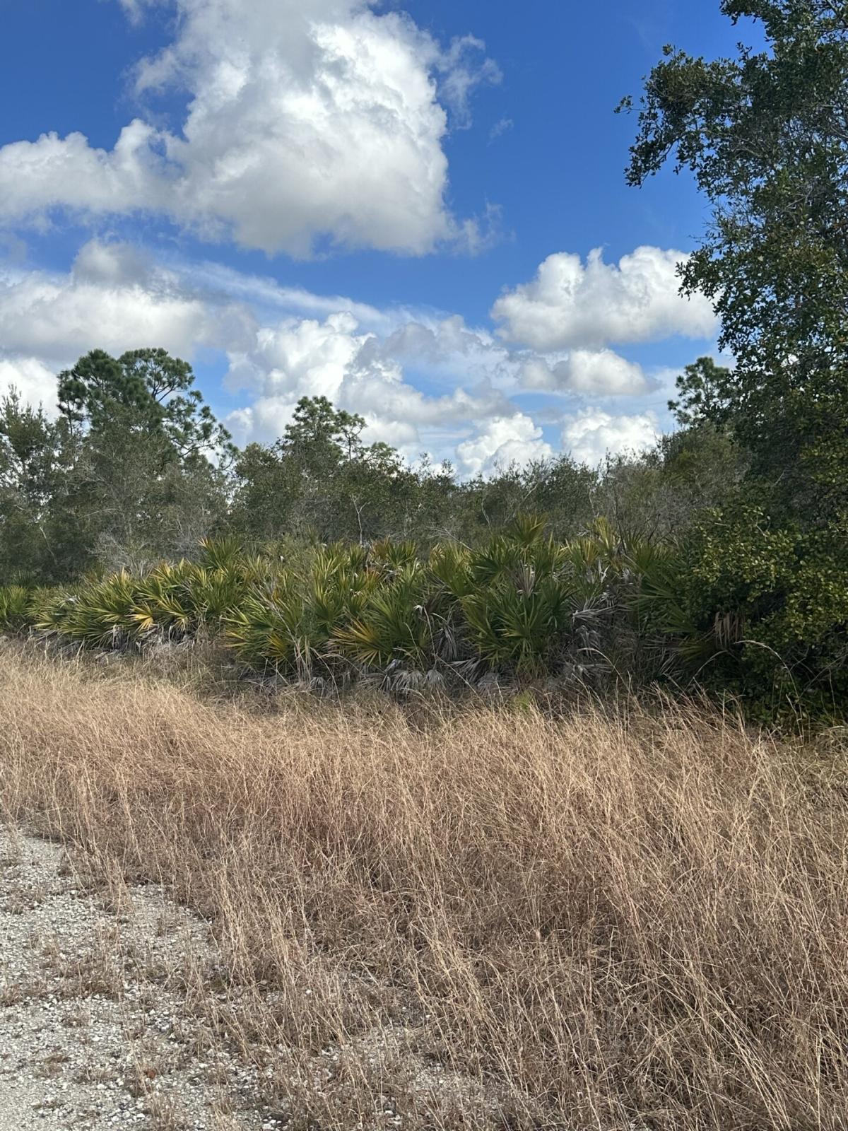 0.23 Acres for Sale in Lake Placid, Florida