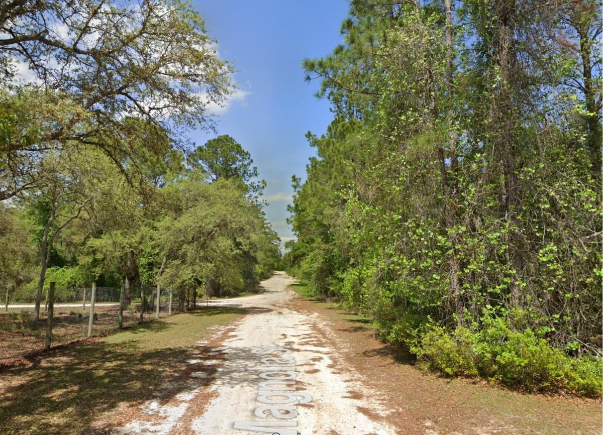 1.03 Acres for Sale in Pomona Park, Florida