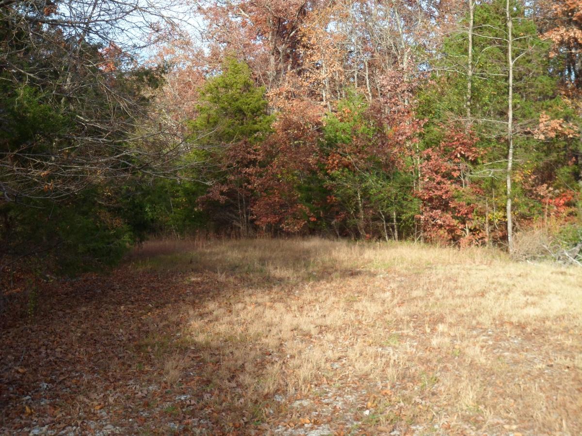 0.67 Acres for Sale in Horseshoe Bend, Arkansas