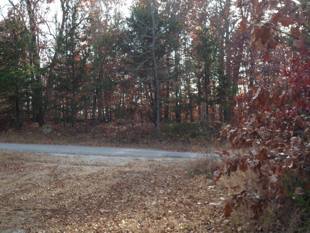 0.67 Acres for Sale in Horseshoe Bend, Arkansas