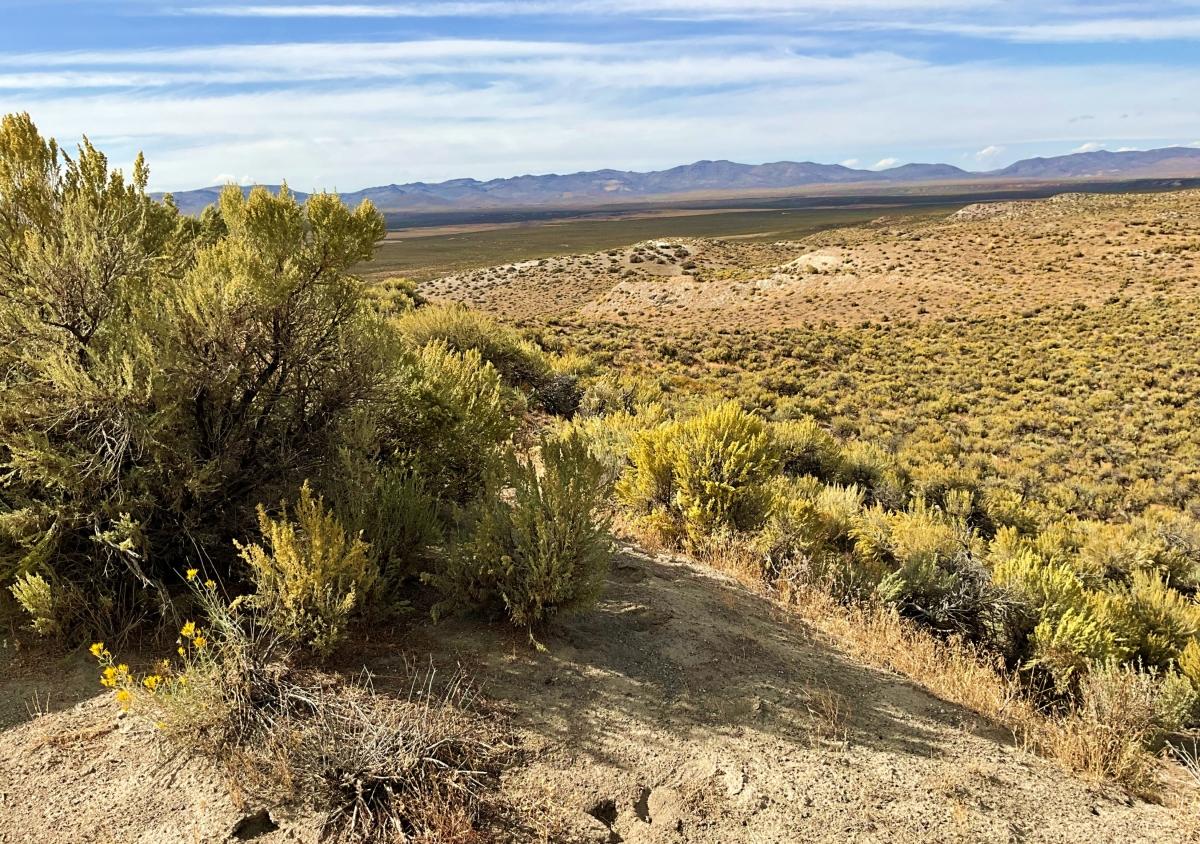 1.03 Acres for Sale in Salt Lake, Nevada
