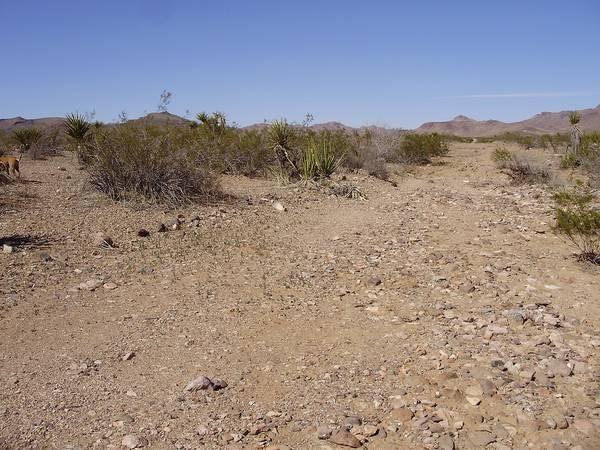 1.46 Acres for Sale in Seligman, Arizona