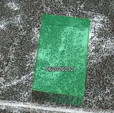 1.13 Acres for Sale in Cobre, Nevada