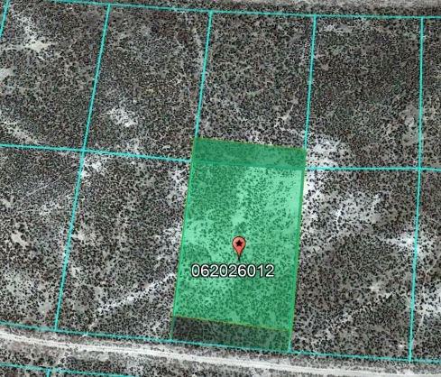 1.13 Acres for Sale in Cobre, Nevada