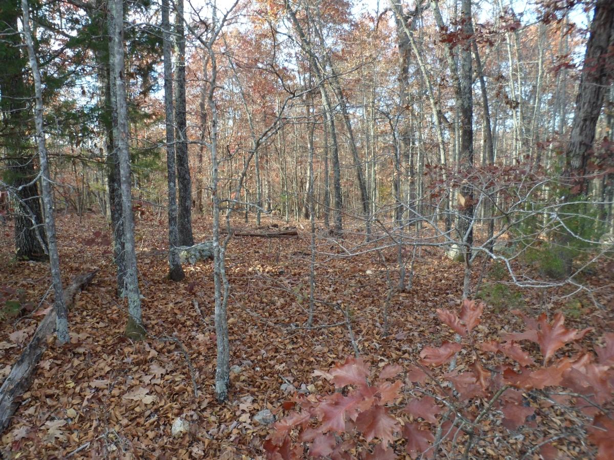 0.67 Acres for Sale in Horseshoe Bend, Arkansas