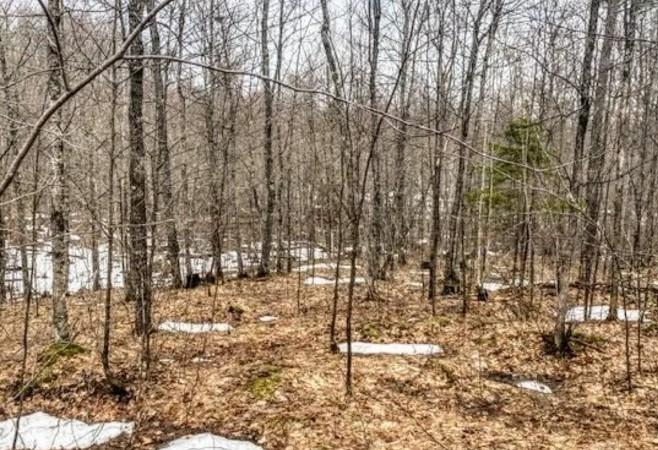 1.95 Acres for Sale in Cable, Wisconsin