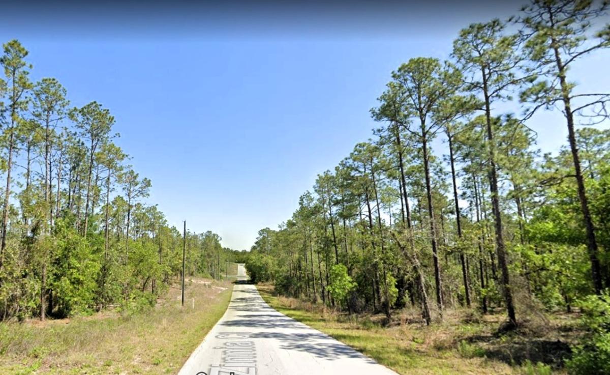 0.5 Acres for Sale in Dunnellon, Florida