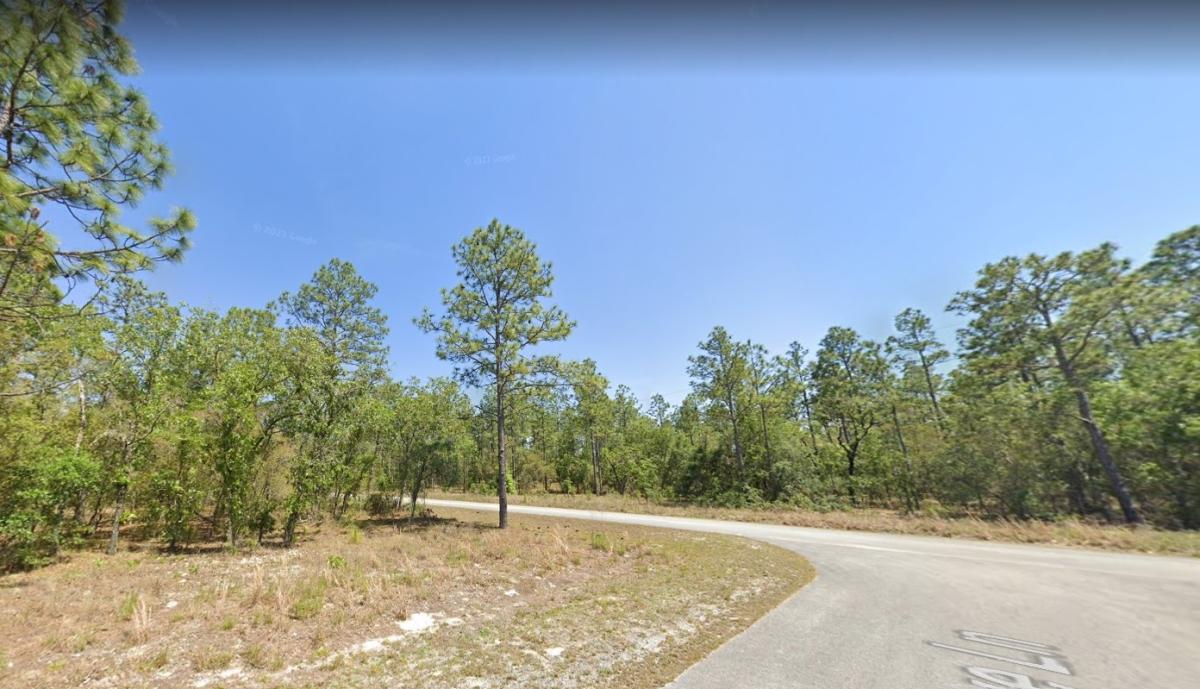 0.50 Acres for Sale in Dunnellon, Florida