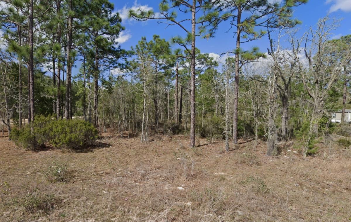 0.26 Acres for Sale in Interlachen, Florida